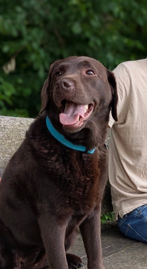 Maui, the ImmoLosch office manager